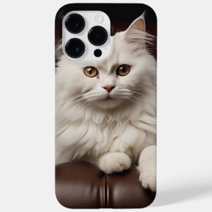 Gato branco majestoso