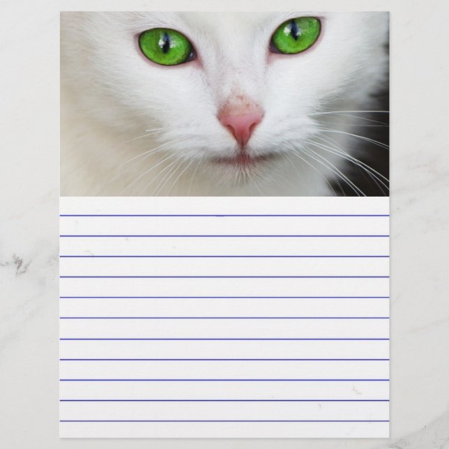 Gato Branco Olhado Verde (Frente)