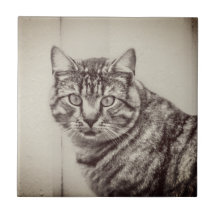 Gato-Celeiro Sepia Brown Animais Azulejos Cerâmico