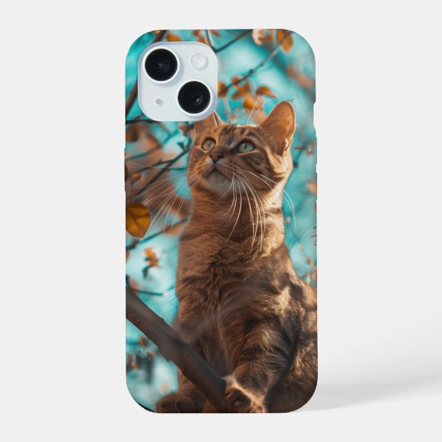 Gato Cinto (Verso)
