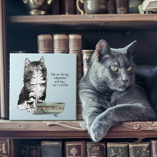 Gato Cinza Tabby Independente Azul Fofo Engraçado