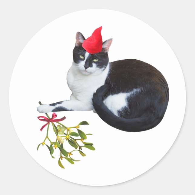 Gato com adesivos Mistletoy (Frente)