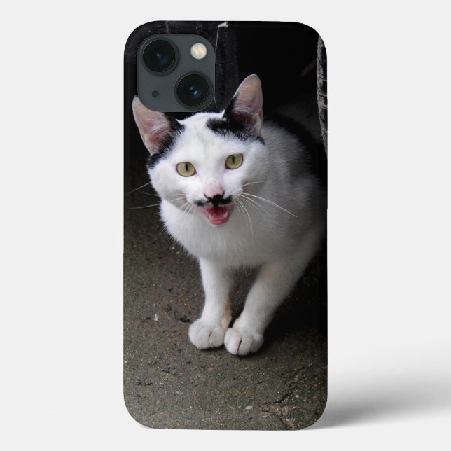 Gato com bigode (Verso)