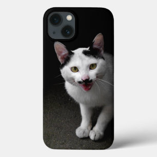 Gato com bigode