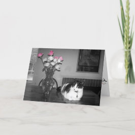 Gato com Cartão de Aniversário de Rosas Rosa