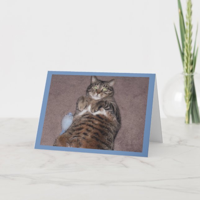 Gato com Cartão de Aniversário de Tubo (Frente)