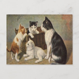 Gato com Gatinhos no Cartão Postal do Basket Vinta