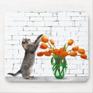 Gato com Mousepad Buquê Tulip Laranja