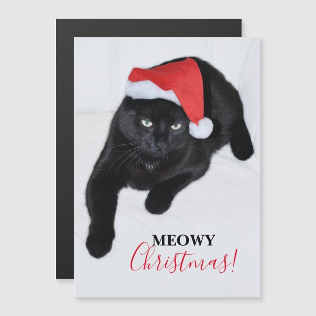 Gato com o Chapéu Vermelho de Papai Noel (Frente/Verso)