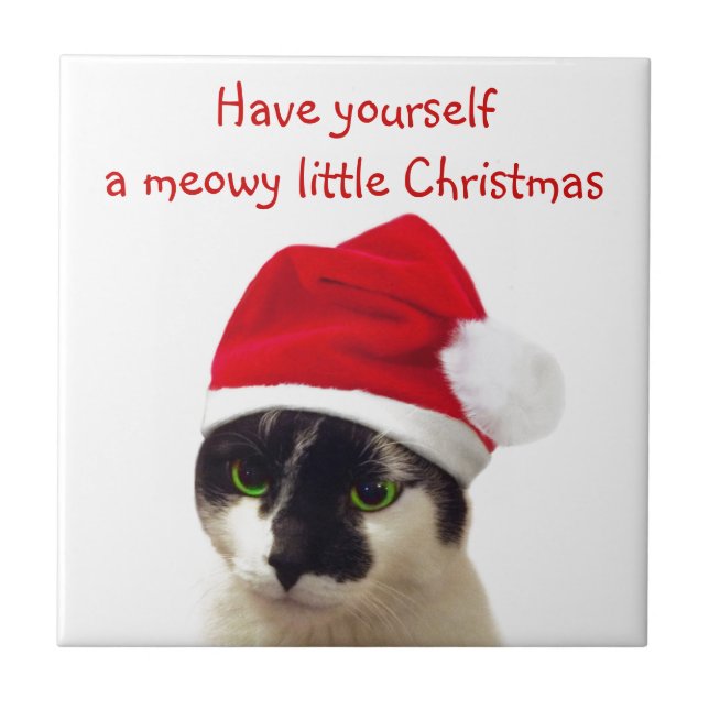 Gato com Papai noel (Frente)