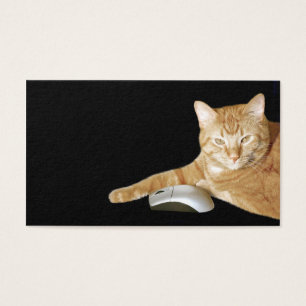 Gato com rato do computador