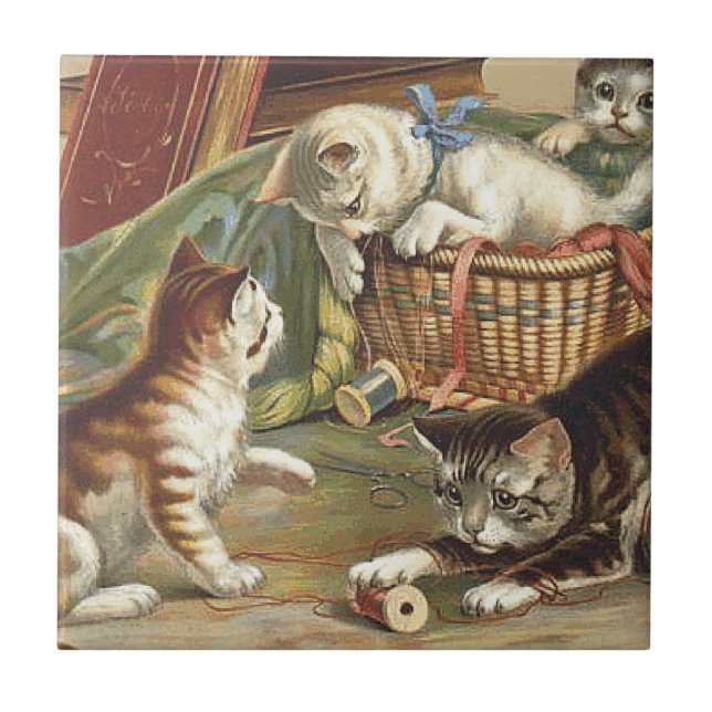 Gato curioso do T (Frente)