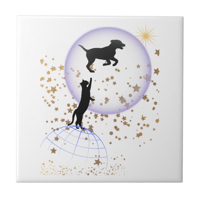 Gato curioso e cão correndo (Frente)