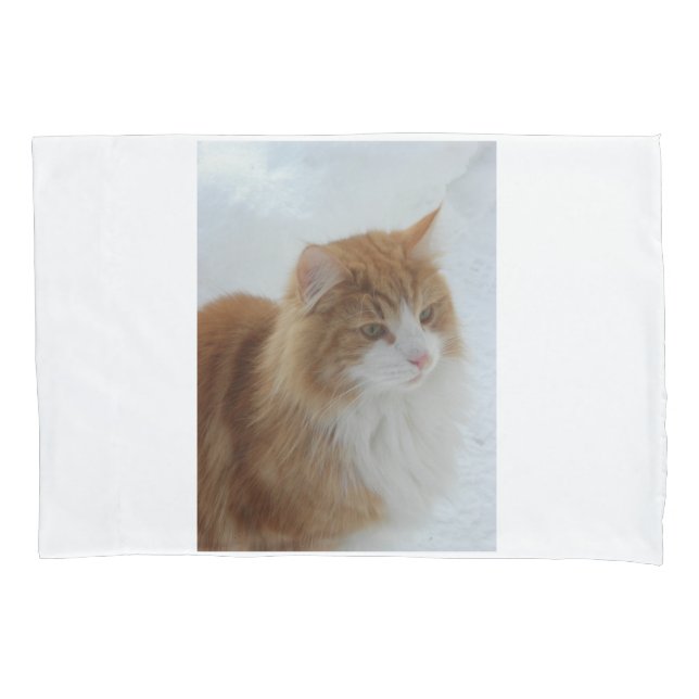 Gato_da_Floresta_Norueguesa (Frente)