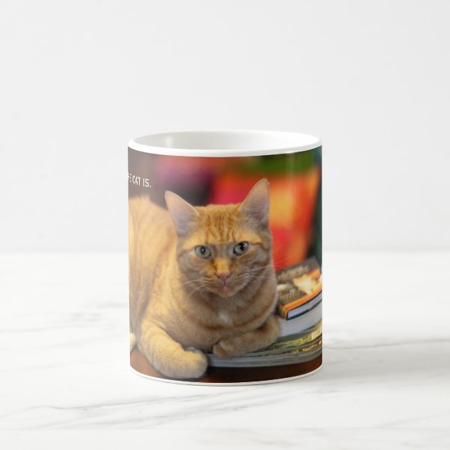 Gato da laranja da caneca (Centro)
