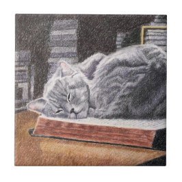 Gato da Livraria