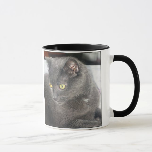 Gato das espiões na caneca profunda do pensamento (Direita)