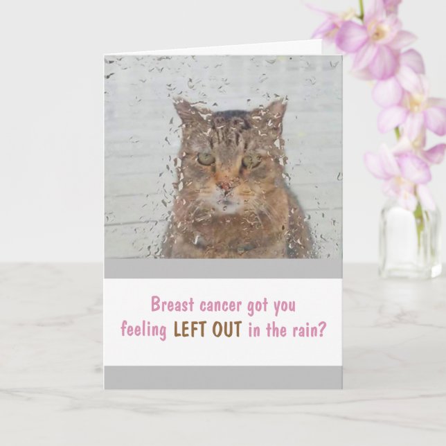 Gato De Cancer Da Mama No Cartão De Chuva (Orquídea)