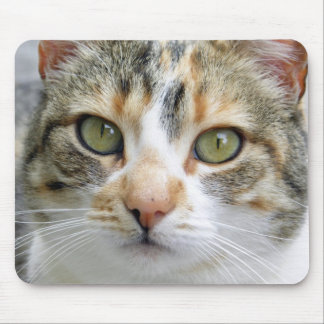 Gato de chita Mousepad