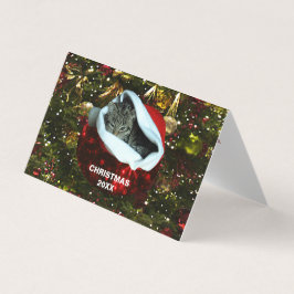 Gato de Cinza em Red Santa Hat Natal 20XX