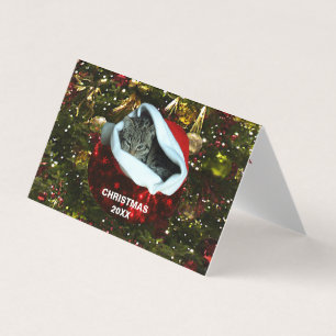 Gato de Cinza em Red Santa Hat Natal 20XX