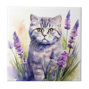 Gato de dobra escocesa de aquarelas no campo da La