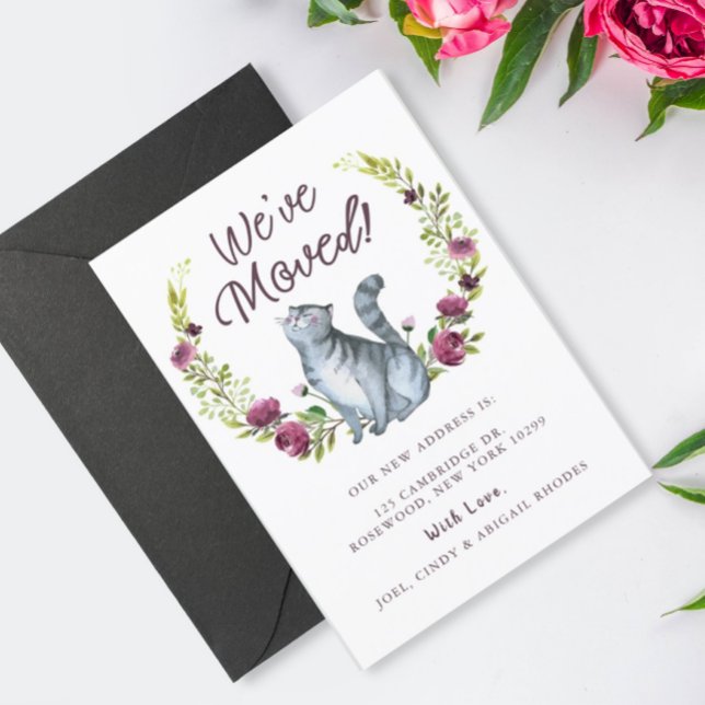 Gato de Gatinho Aquarela Que Mudamos O Anúncio (Criador carregado)