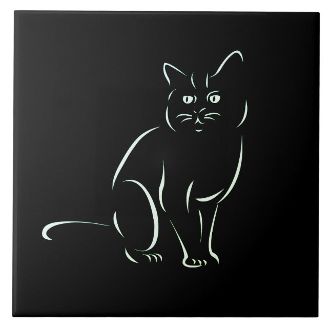 Gato de Gatinho Branco (Frente)