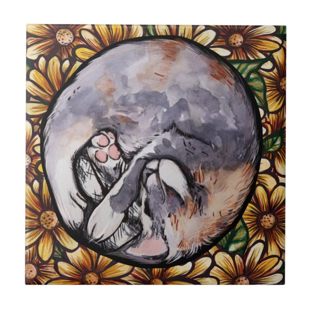 Gato De Gato De Calico Diluído (Frente)