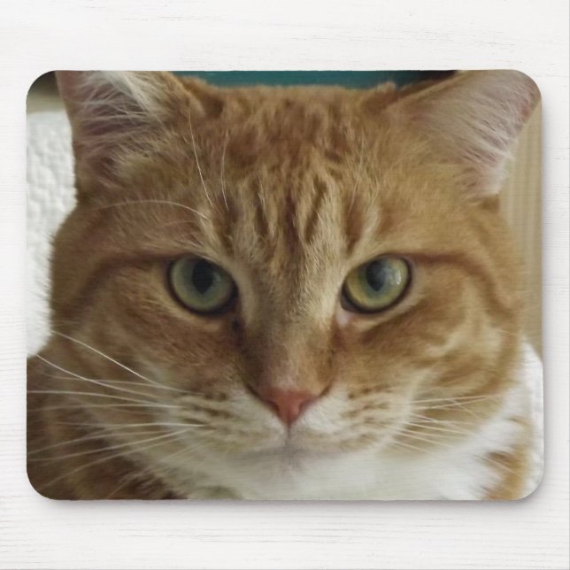 Gato de gato malhado alaranjado Mousepad (Frente)