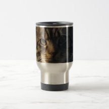 Gato de gato malhado - caneca de aço inoxidável do
