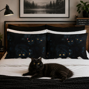 Gato de Gato Negro