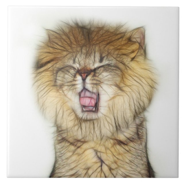 Gato de leão (Frente)