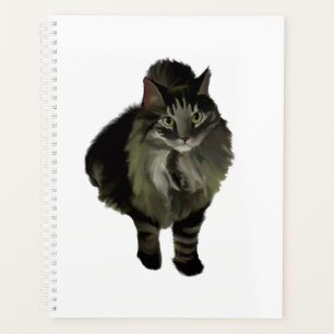 Gato de Maine Coon do Planejador Lg