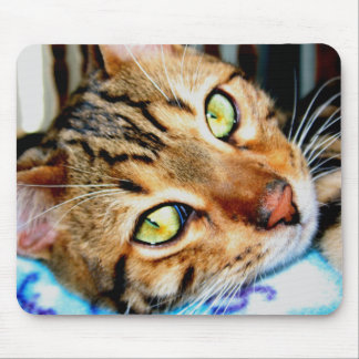 Gato de Mousepad Bengal