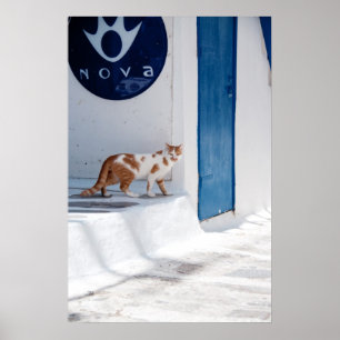 Gato de Mykonos - poster