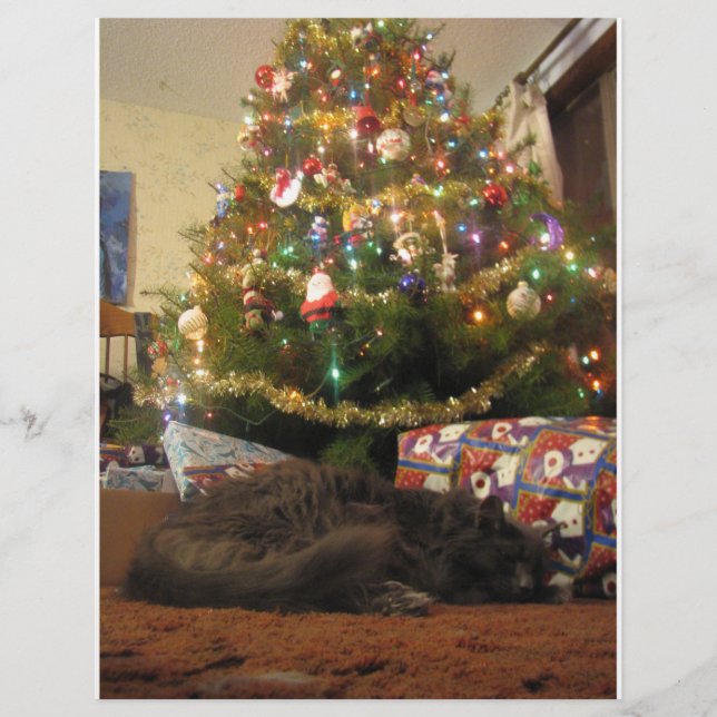 Gato de Natal (Frente)