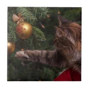 Gato de Natal