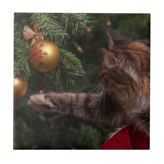 Gato de Natal (Frente)