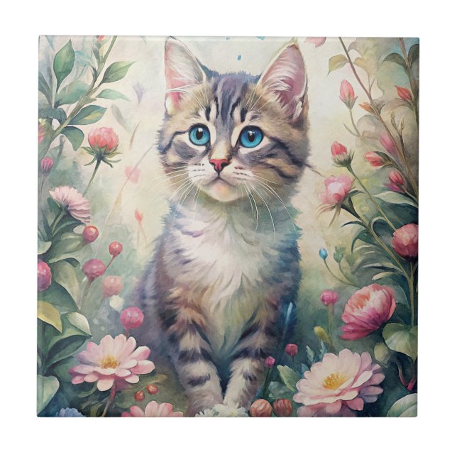 Gato de olhos azuis (Frente)