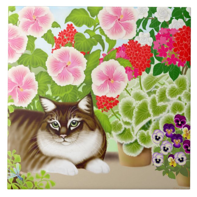 Gato de racum de Maine no azulejo do jardim do (Frente)