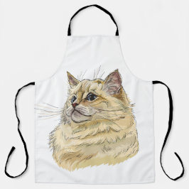 Gato de Ragdoll que desenhava a mão