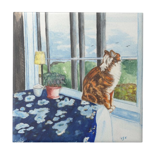 Gato de Scandia (Frente)