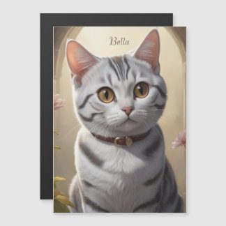 Gato de Shorthair Americano Bonito com Olhos Grand