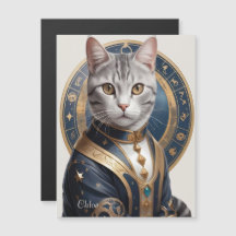 Gato de Shorthair majestoso americano em azul e Do