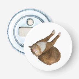 Gato de Sol de Cabeça pra Baixo