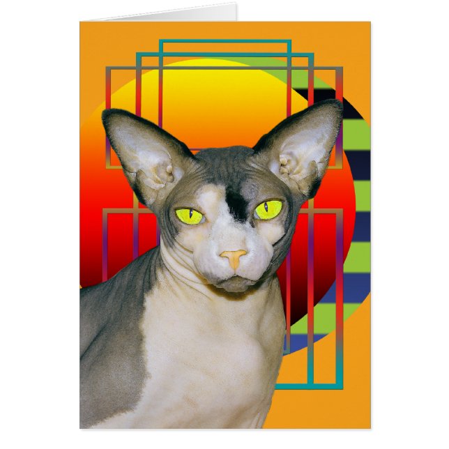 Gato de Sphynx do Vamp do cartão | (alaranjado) (Frente)
