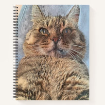 Gato de Tigre Majestoso