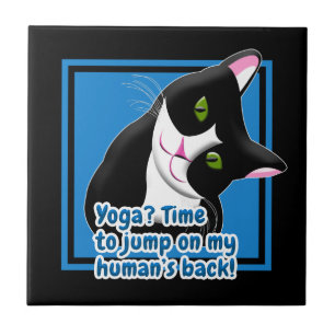 Gato de Yoga Engraçado