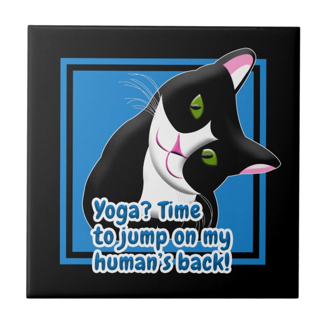 Gato de Yoga Engraçado (Frente)